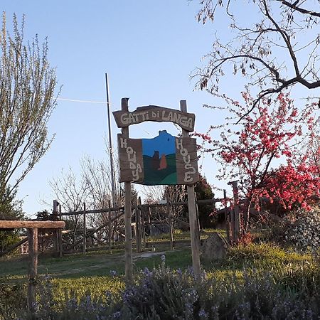 Villa Gatti di Langa Dogliani Esterno foto