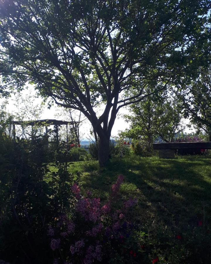 Villa Gatti di Langa Dogliani Esterno foto