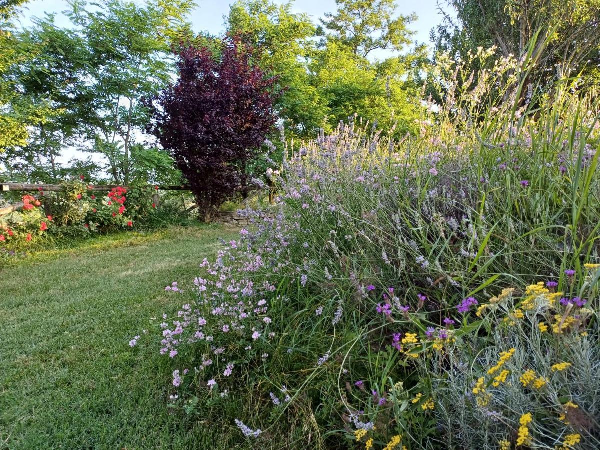 Villa Gatti di Langa Dogliani Esterno foto