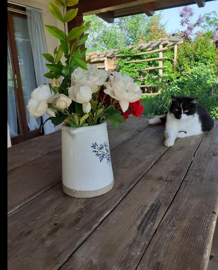 Villa Gatti di Langa Dogliani Esterno foto
